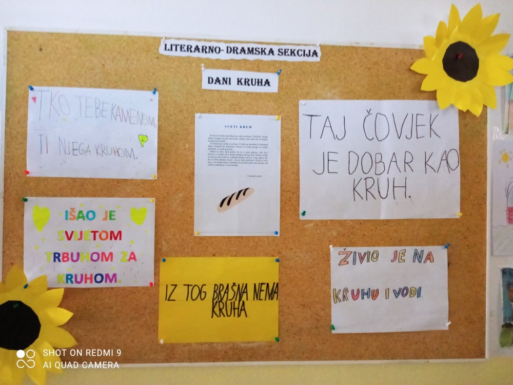 viber_slika_2022_10_18_14_28_09_ - Copy 2.jpg